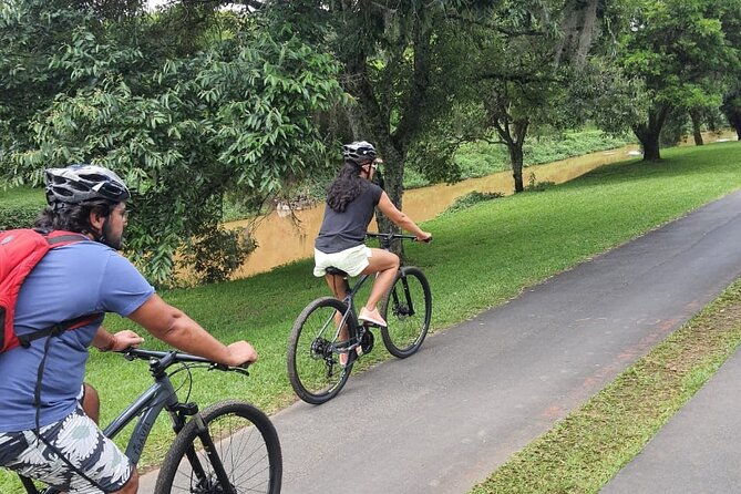 interparks-cycling-tour-curitiba-for-small-groups