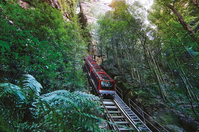 Intimate Blue Mountains Wild Kangaroos & Sunset for Nature Lovers - Final Thoughts