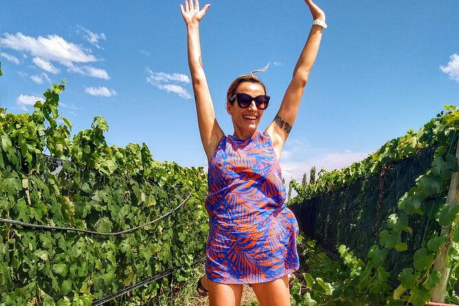 intimate-wine-tour-with-wine-pairing-lunch