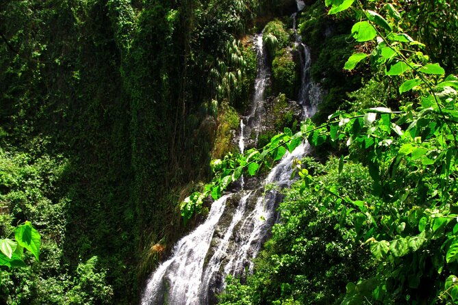 into-the-mountains-hiking-waterfalls-coffee-full-day-adventure-from-san-juan