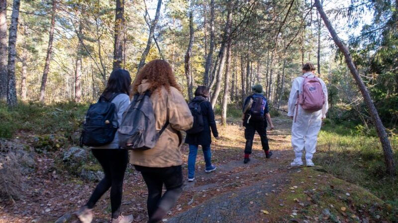 into-the-wild-a-sensorial-experience-in-stockholms-woods