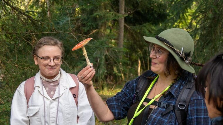 into-the-wild-a-sensorial-experience-in-stockholms-woods