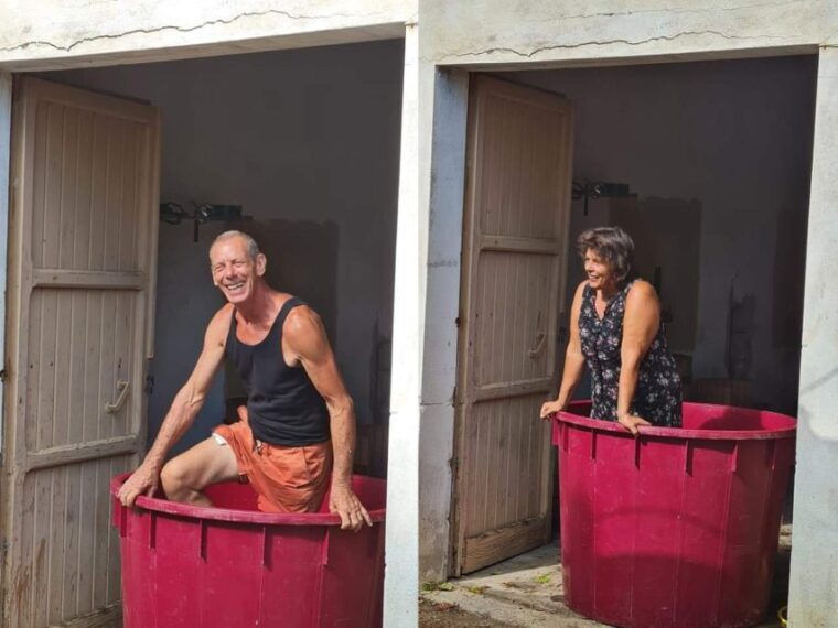 into-the-world-of-natural-wine