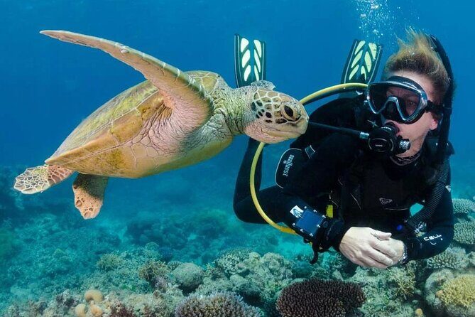 Intro and Professional Scuba Diving Cruise with Lunch in Hurghada - The Sum Up