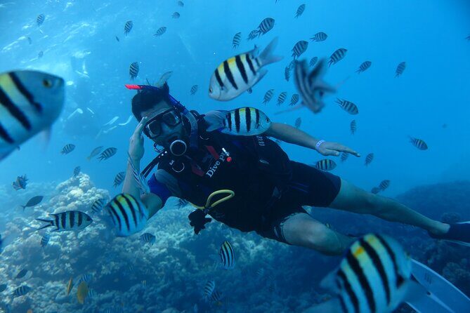 Intro Diving 2 Stops For Beginners with Pick-up and Lunch - Hurghada - The Return and Overall Experience