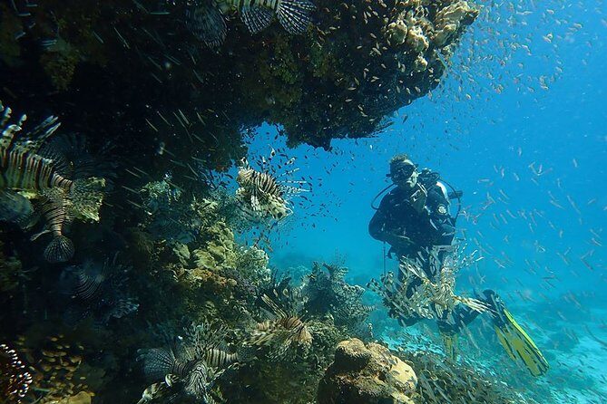 Intro Diving 2 Stops For Beginners with Pick-up and Lunch - Hurghada - Final Thoughts on Value and Authenticity