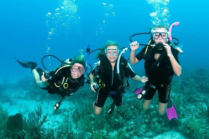 Intro Diving for Beginners 2 Stops Diving with Lunch - Hurghada - What You Can Expect at Each Stop