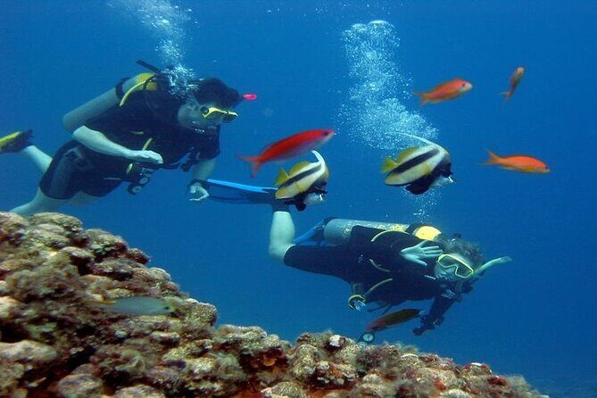 Intro Diving for Beginners 2 Stops Diving with Lunch - Hurghada - Who Should Take This Tour?