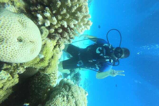 Intro Diving for Beginners in Hurghada with Pick-up and Lunch - FAQ