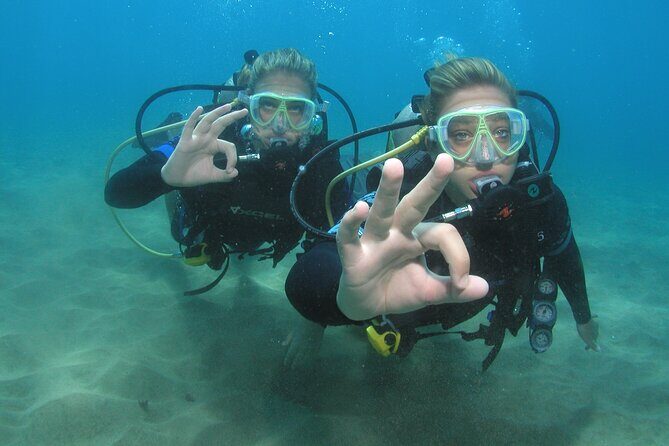 Intro/Refresher Dive Swim Ability Required - What to Expect from the Lahaina Intro to Scuba Diving Course