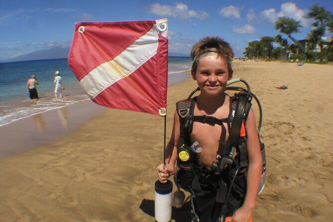 Intro/Refresher Dive Swim Ability Required - Authentic Experiences from Past Participants