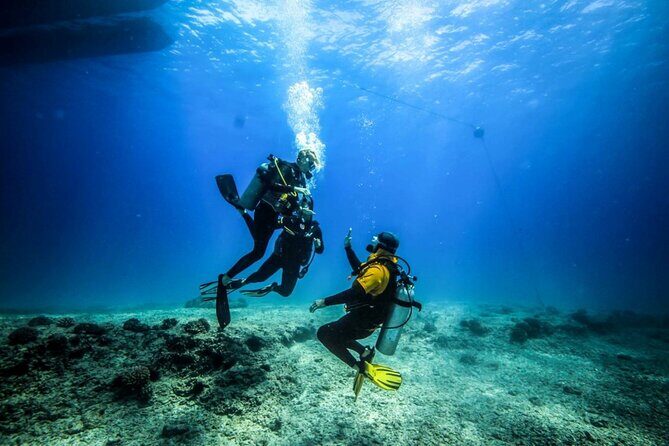 Intro Scuba Diving: 2 Dive Stops With Lunch & transfer - Hurghada - What to Expect from the Tour