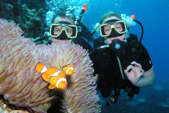 Intro Scuba Diving: 2 Dive Stops With Lunch & transfer - Hurghada - Final Thoughts: Is It Worth It?