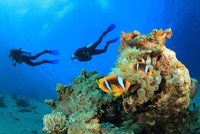 Intro Scuba Diving 2 Stops Trip with Transfers & Lunch - Hurghada - Key Points