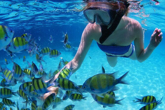 Intro Scuba Diving 2 Stops Trip with Transfers & Lunch - Hurghada - FAQ