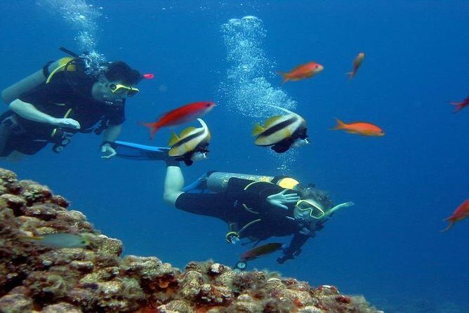 Intro Scuba Diving Beginners Full Day Boat Trip 2 Stops Diving & Lunch Hurghada - Logistics and Practicalities