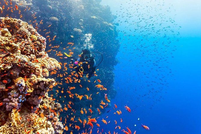 Intro Scuba Diving Beginners Full Day Boat Trip 2 Stops Diving & Lunch Hurghada - The Sum Up