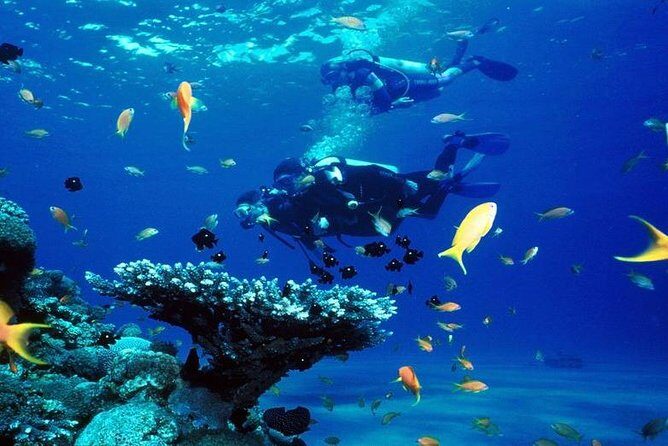 Intro Scuba Diving Beginners Full Day Boat Trip 2 Stops Diving & Lunch Hurghada - FAQ