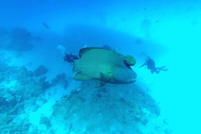 Intro Scuba Diving - The Itinerary: What You Can Expect from This Hurghada Scuba Trip