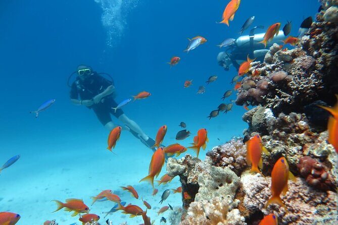 Intro Scuba Diving - Who Is This Tour Best For?