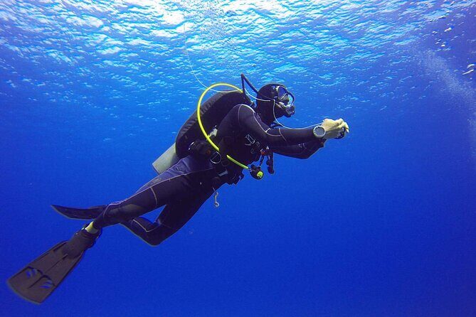 Intro Scuba Diving For Beginners With Lunch in Hurghada - What to Expect from the Itinerary