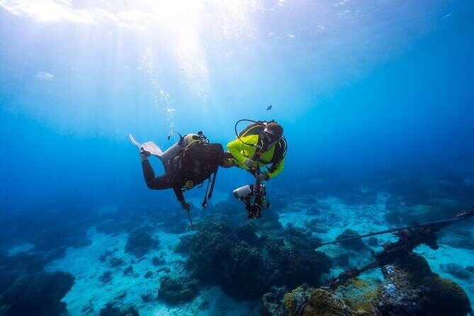 Intro Scuba Diving for beginners With (Lunch,Transfer)  Hurghada - Who Would Love This Tour?