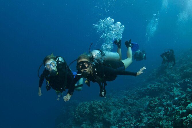 Intro Scuba Diving for beginners With (Lunch,Transfer)  Hurghada - The Sum Up