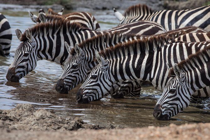 Introducing Kenya Safari Package - Key Points