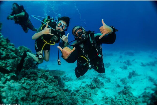 Introduction: Diving from the Reef in Sharm El Sheikh - What to Expect on Your Red Sea Introduction Dive