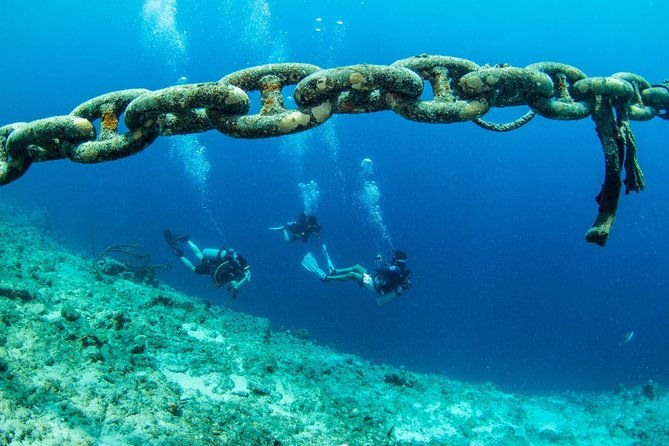 introduction-shore-dive-with-scubacao-1-dive