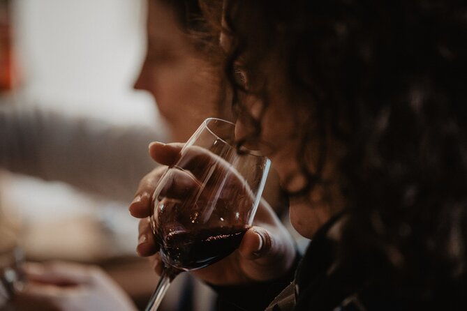 introduction-to-bordeaux-wines-paired-with-cheeses-charcuterie