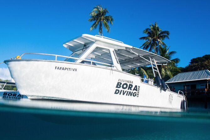 Introductory Dive in Bora Bora (afternoon) - Final Thoughts: Who Should Book This Experience?