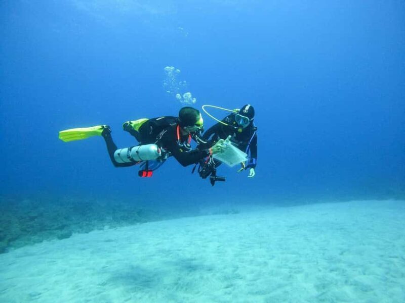 Introductory dive, to get started! - What’s Included and What You Need to Bring