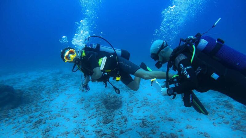 Introductory dive, to get started! - FAQ