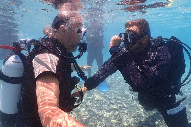 introductory-diving-in-small-groups