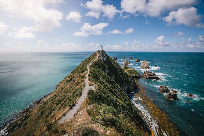 Invercargill to Dunedin via the Catlins Small Group 1 Way Tour - Invercargill to Dunedin via the Catlins Small Group 1 Way Tour Review