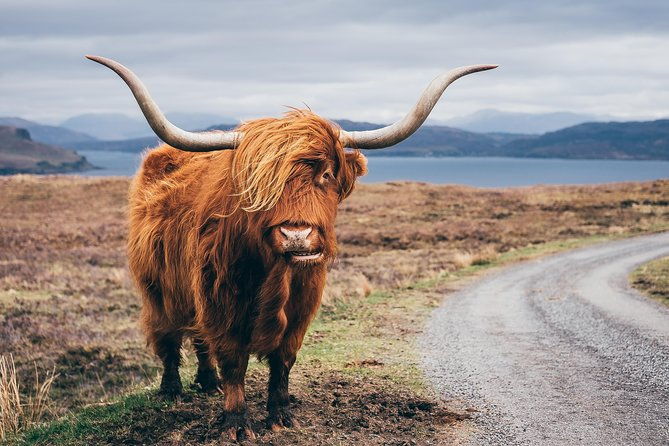 inverness-applecross-loch-carron-the-wild-highlands
