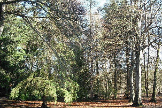 inverness-bike-tour-a-2-hours-guided-bike-tour-around-the-waterways-of-inverness