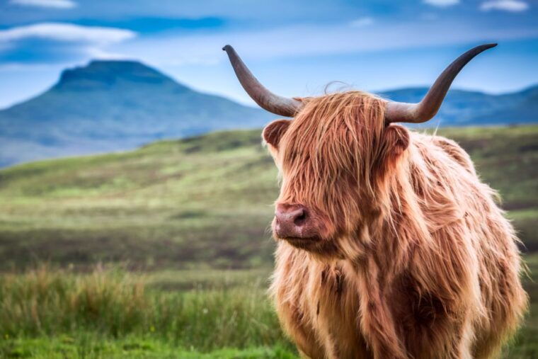 inverness-isle-of-skye-and-eilean-donan-castle-day-trip