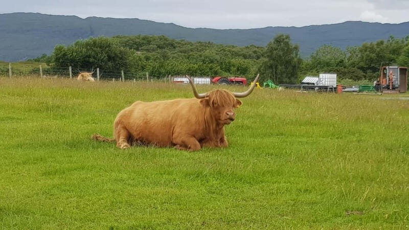 Inverness: Outlander Tour, Culloden, Clava Cairns & more - Final Thoughts: Who Should Take This Tour?