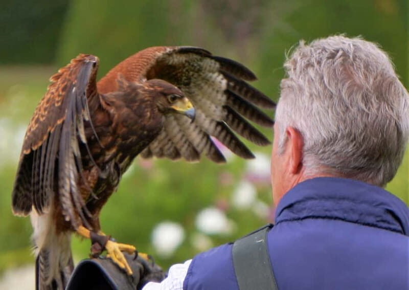 Inverness: Relaxed Private Northern Scottish Highlands Tour - Exploring the Northern Scottish Highlands: A Private Tour Overview