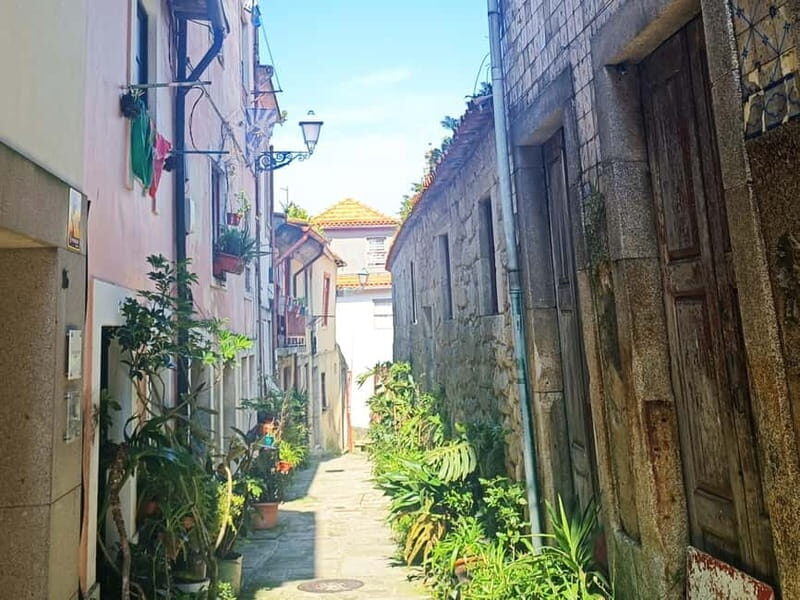 Invincible City of Porto Walking Tour - Who Will Love This Tour?