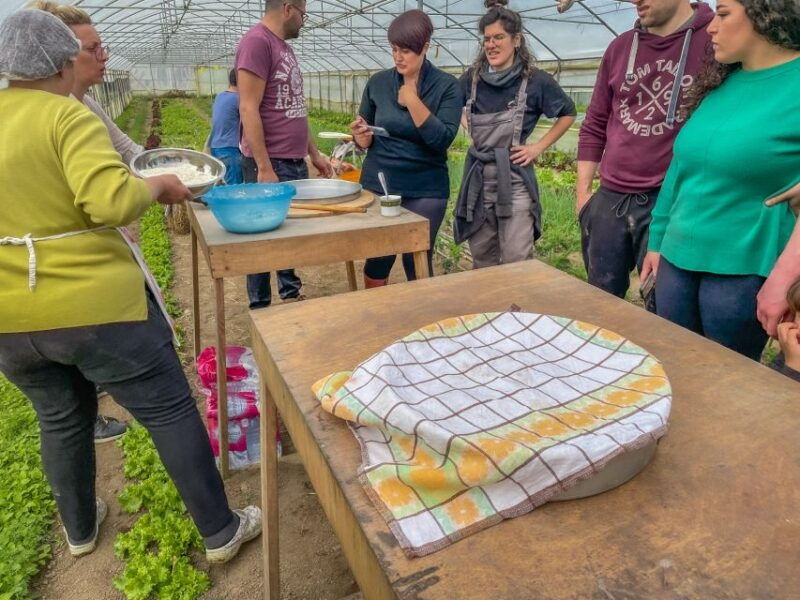 ioannina-east-zagori-farming-experience-cooking-class