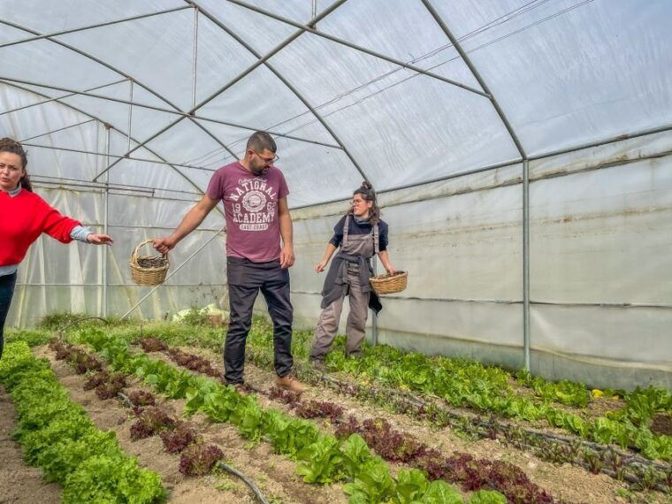 ioannina-east-zagori-farming-experience-cooking-class