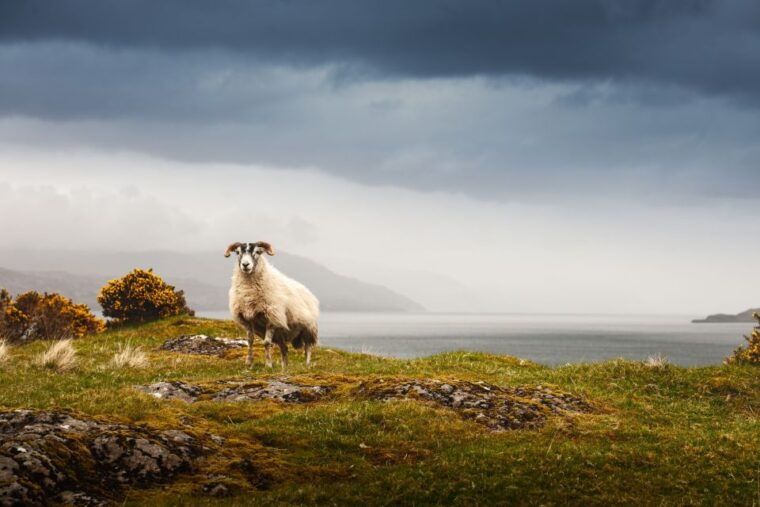 iona-mull-and-isle-of-skye-5-day-tour-from-edinburgh
