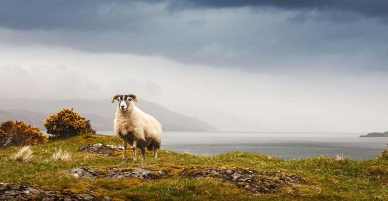 iona-mull-and-isle-of-skye-5-day-tour-from-edinburgh