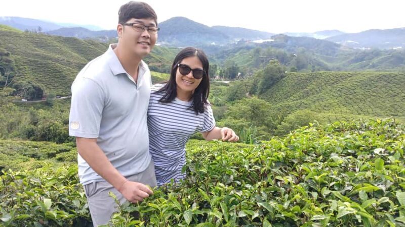 Ipoh: Cameron Highlands Private Day Trip with Driver - Key Points