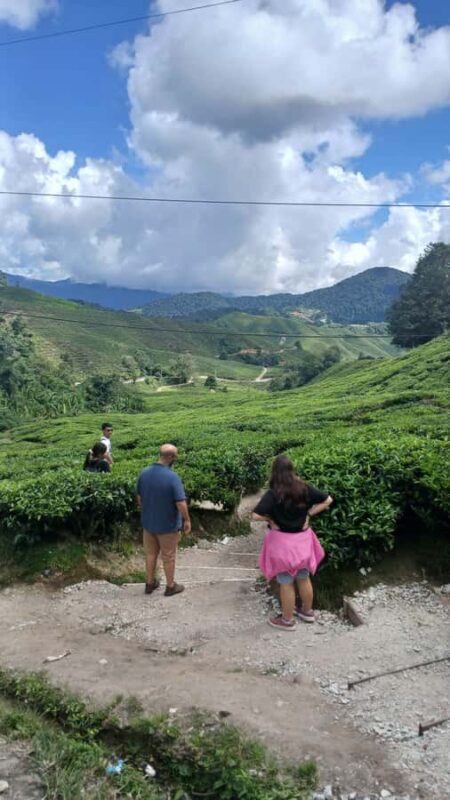 Ipoh: Cameron Highlands Private Day Trip with Driver - Who Will Benefit Most from This Tour?