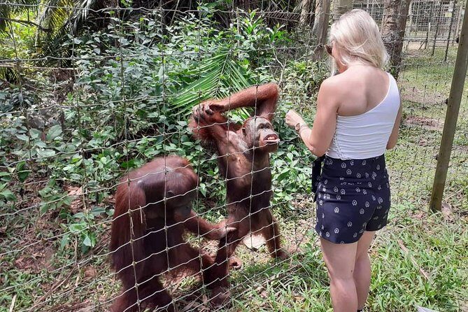 Ipoh Heritage & Orang Utan Island Day Tour from Kuala Lumpur - Final Thoughts