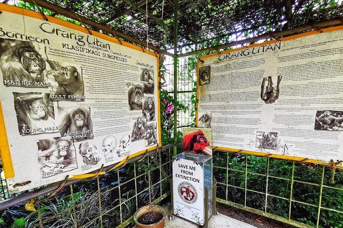 Ipoh & Orang Utan Island Day Tour from Kuala Lumpur - FAQ